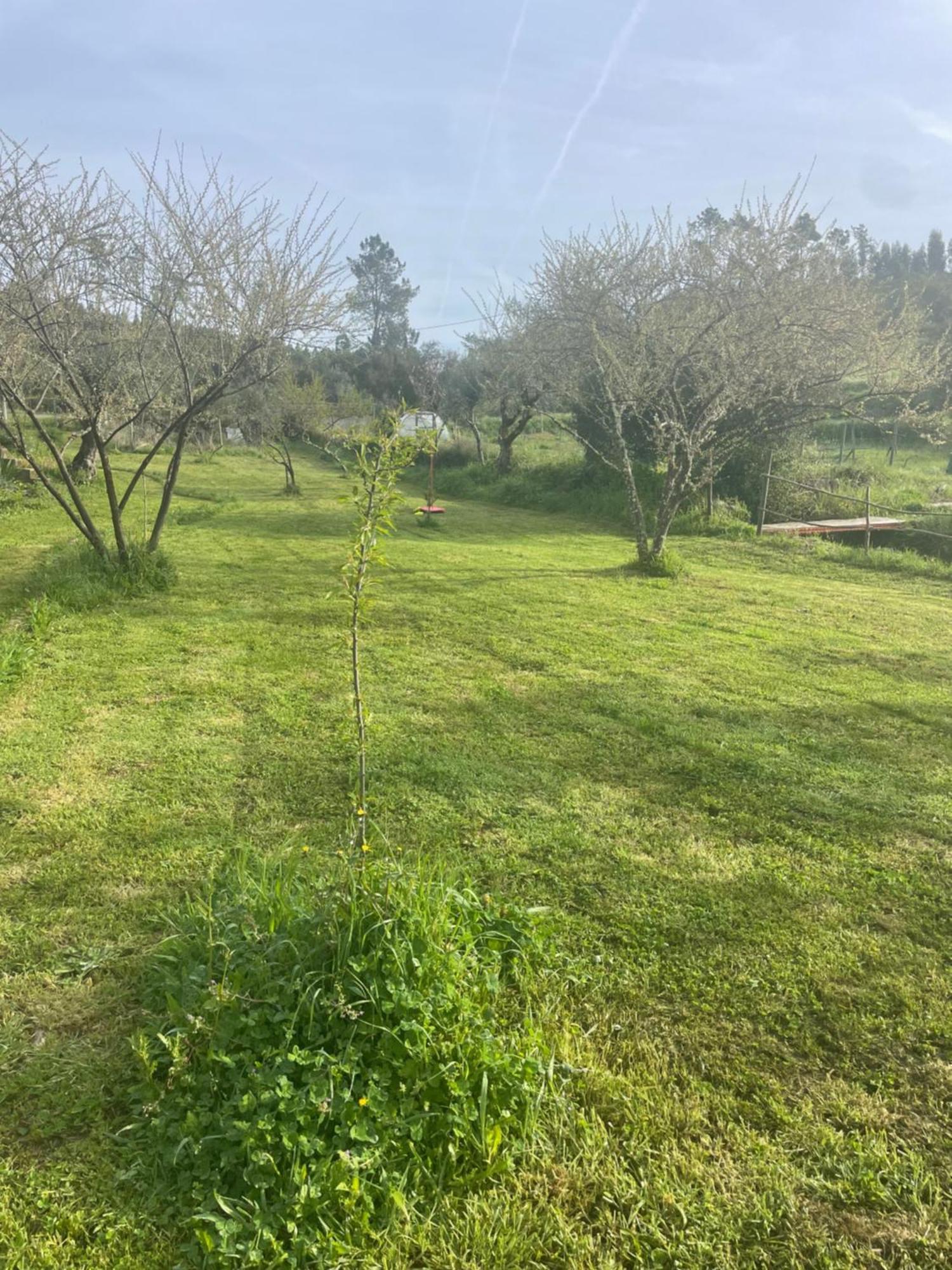 雷镇Quinta Do Eco公寓 外观 照片